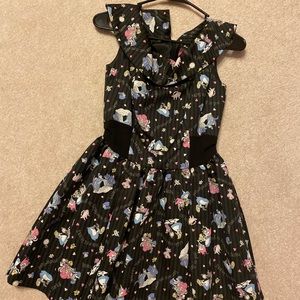 Rare style, of Japanese Alice in Wonderland dress.